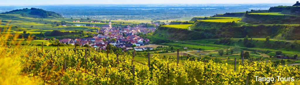 A view of a town from above with vineyards in the foreground.